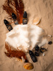COFFEE SILK B16 - 6 ml